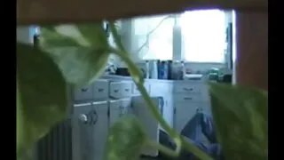 Wspaniała dziewczyna pozwoliła nastolatkom sex oralny darmowe filmy na rozpustę
