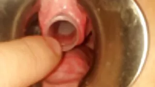 Brunetka kita zen pokazuje umiejętności ssania przed tłumem widzów seks oralny darmowe filmy